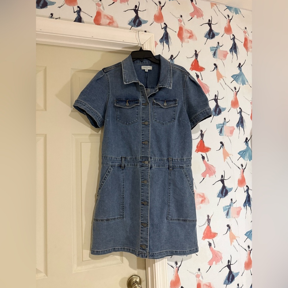 Habitual Blue Denim Button-Up Dress